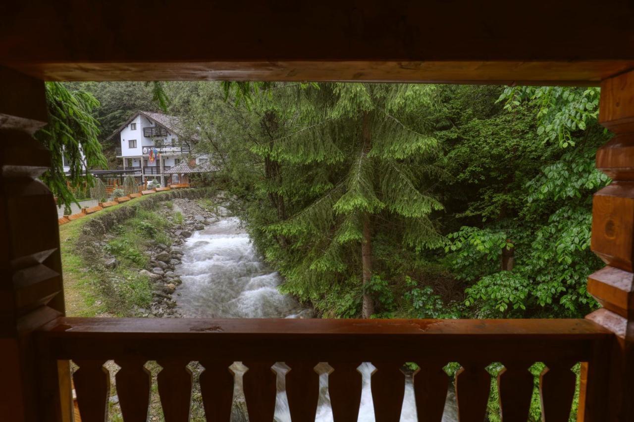Hotel Ivascu Moisei Εξωτερικό φωτογραφία